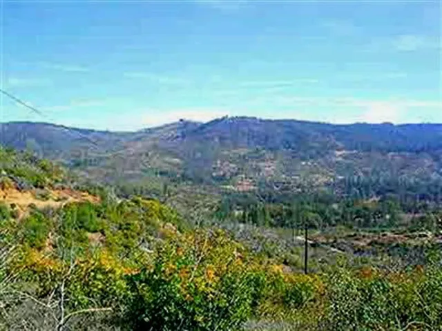 an aerial view of mountain with trees