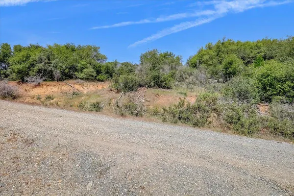 a view of a dry yard with trees in the background