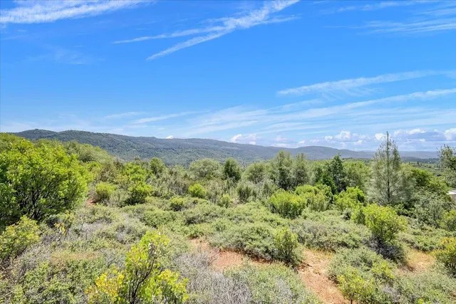 a view of a large yard with lots of green space