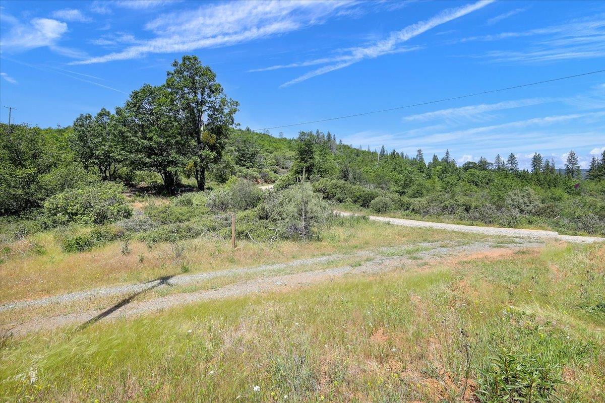 23 Clark Ranch Way Brownsville, CA 95919 - Photo 8 of 42 a view of a yard with an outdoor space