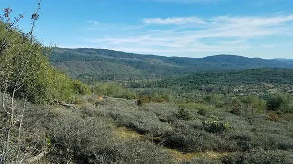 a view of a mountain range with lush green forest