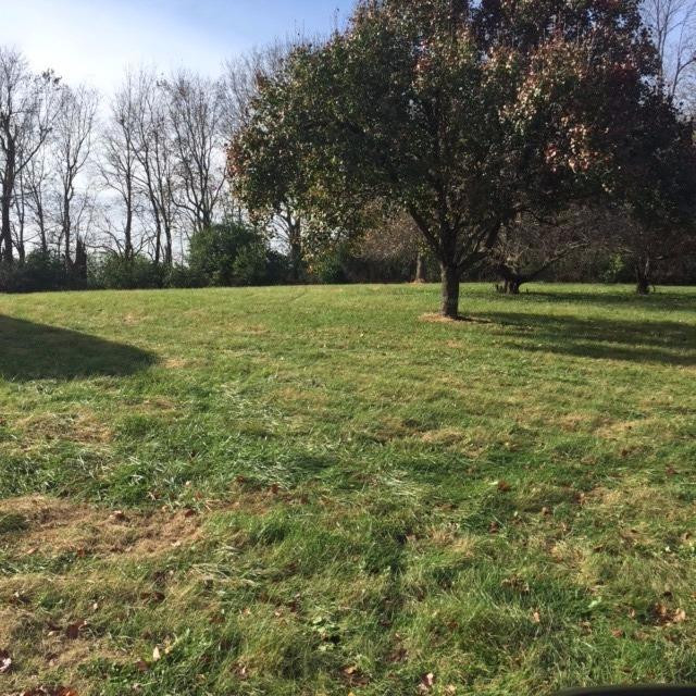 2901 Muir Station Road Lexington, KY 40516 - Photo 18 of 29 Photo 18