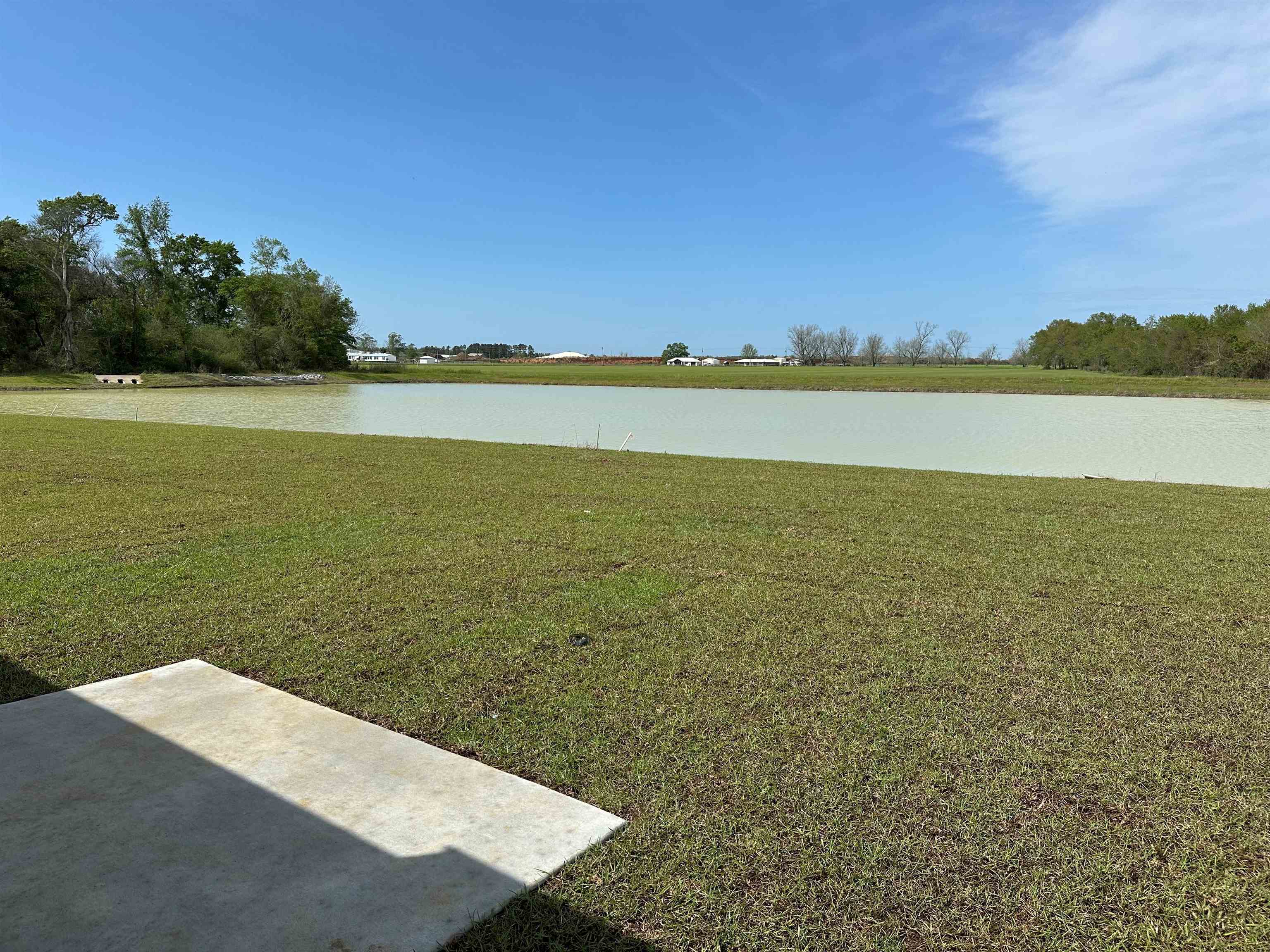 16799 Rocher Court Foley, AL 36535 - Photo 26 of 28 Yard