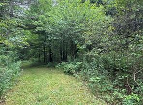 10053 Browntown Road Lindley, NY 14858 - Photo 4 of 13