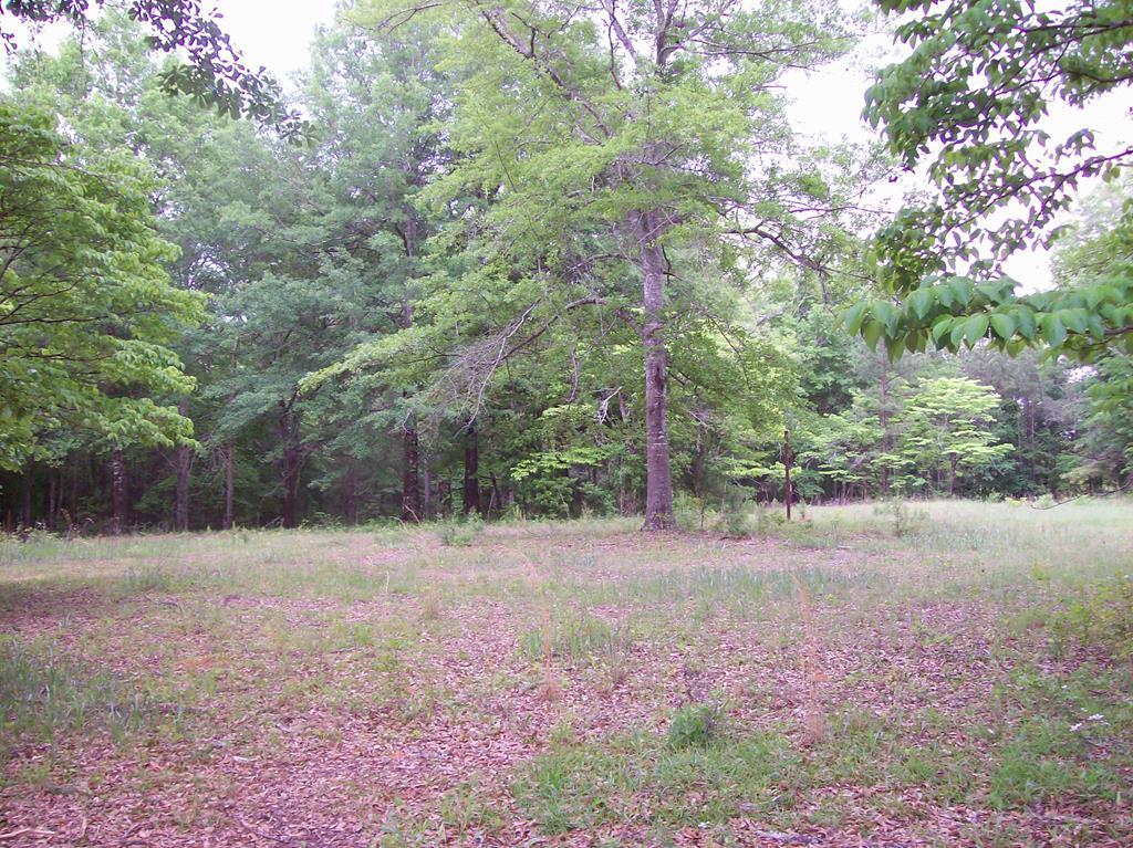 601 Jack Clay Road Danville, GA 31017 - Photo 9 of 22 Additional Photo