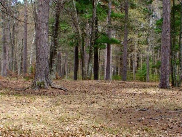 Lot 14 Selmer Road Tomahawk, WI 54487 - Photo 7 of 12 Gallery Image 7