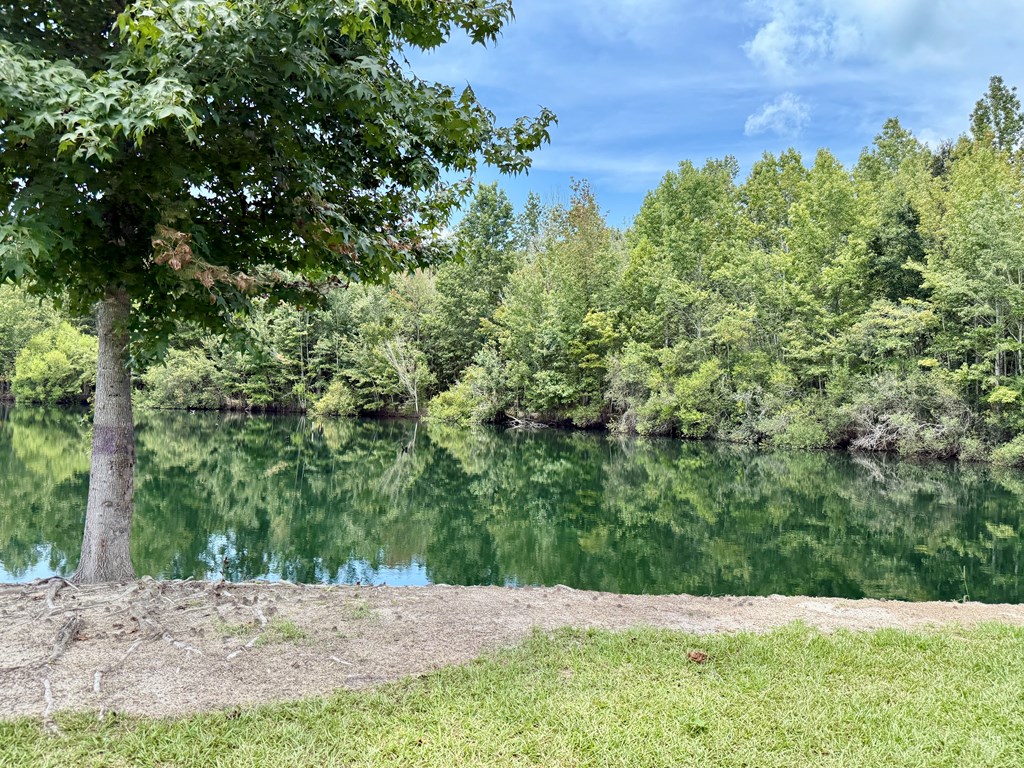 1640 Lafollette Road Slocomb, AL 36375 - Photo 16 of 64