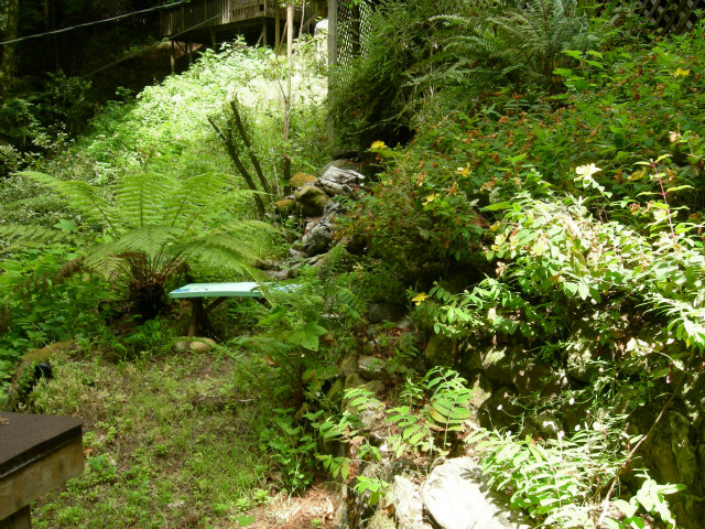 7 Pfeiffer Ridge Road Big Sur, CA 93920 - Photo 14 of 16 Gallery Image 14