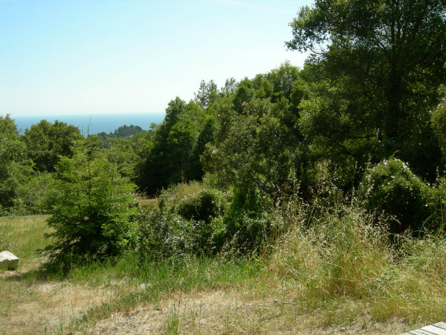 7 Pfeiffer Ridge Road Big Sur, CA 93920 - Photo 3 of 16 Gallery Image 3