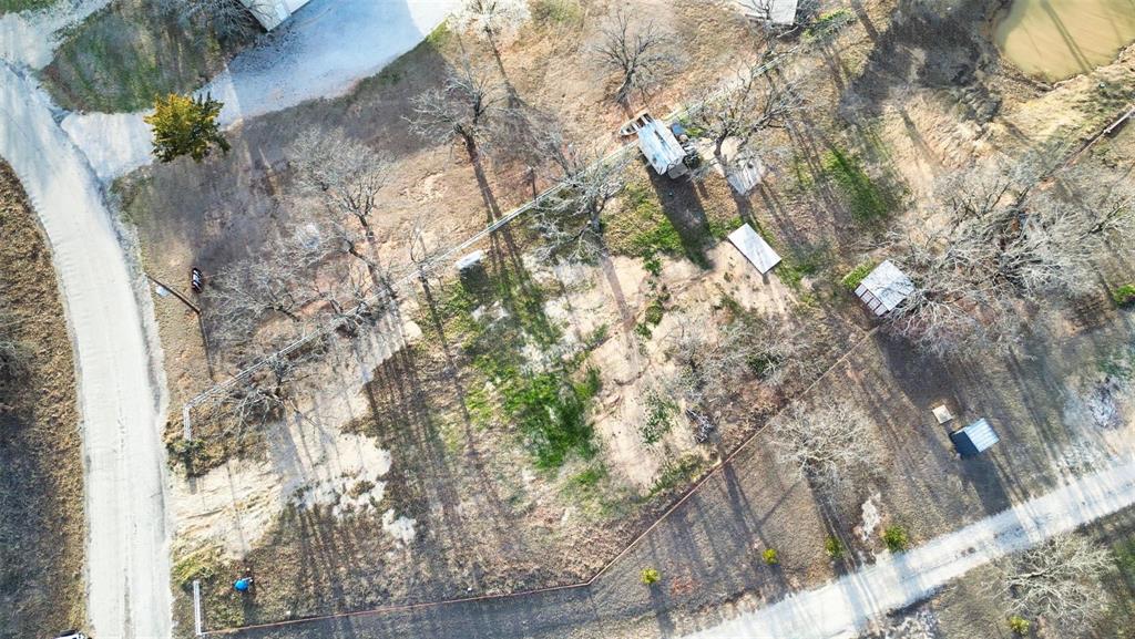 1429 Casino Road Nocona, TX 76255 - Photo 13 of 18 a picture of tree