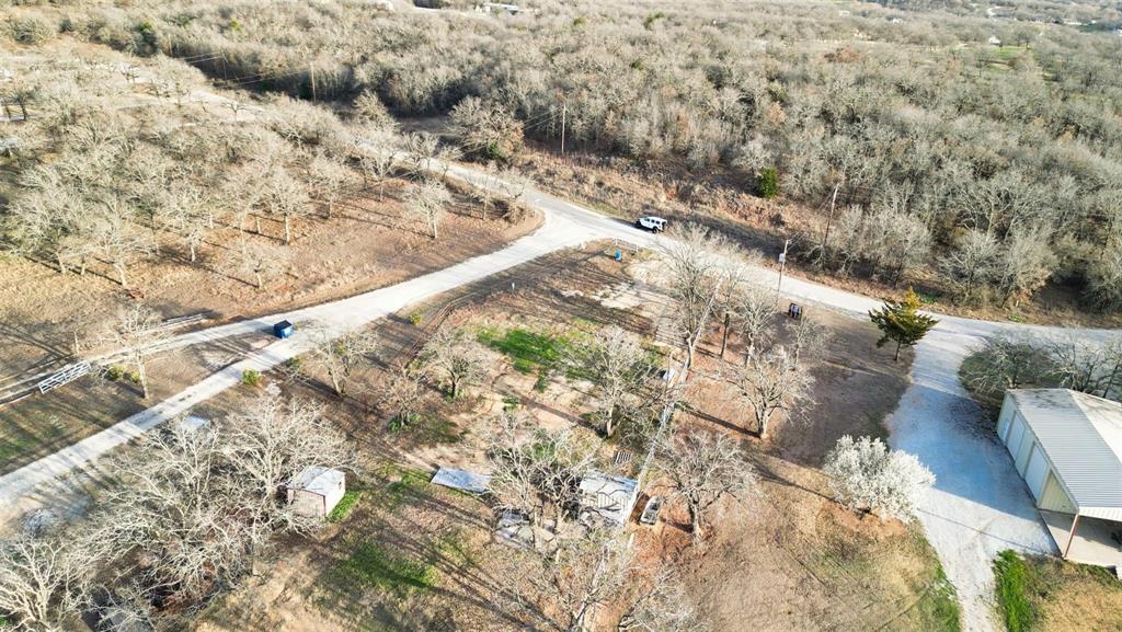 1429 Casino Road Nocona, TX 76255 - Photo 16 of 18 a view of wooden tree