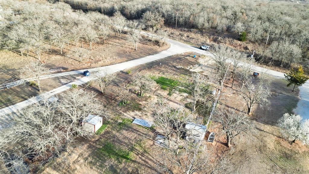 1429 Casino Road Nocona, TX 76255 - Photo 18 of 18 a view of a yard with a tree