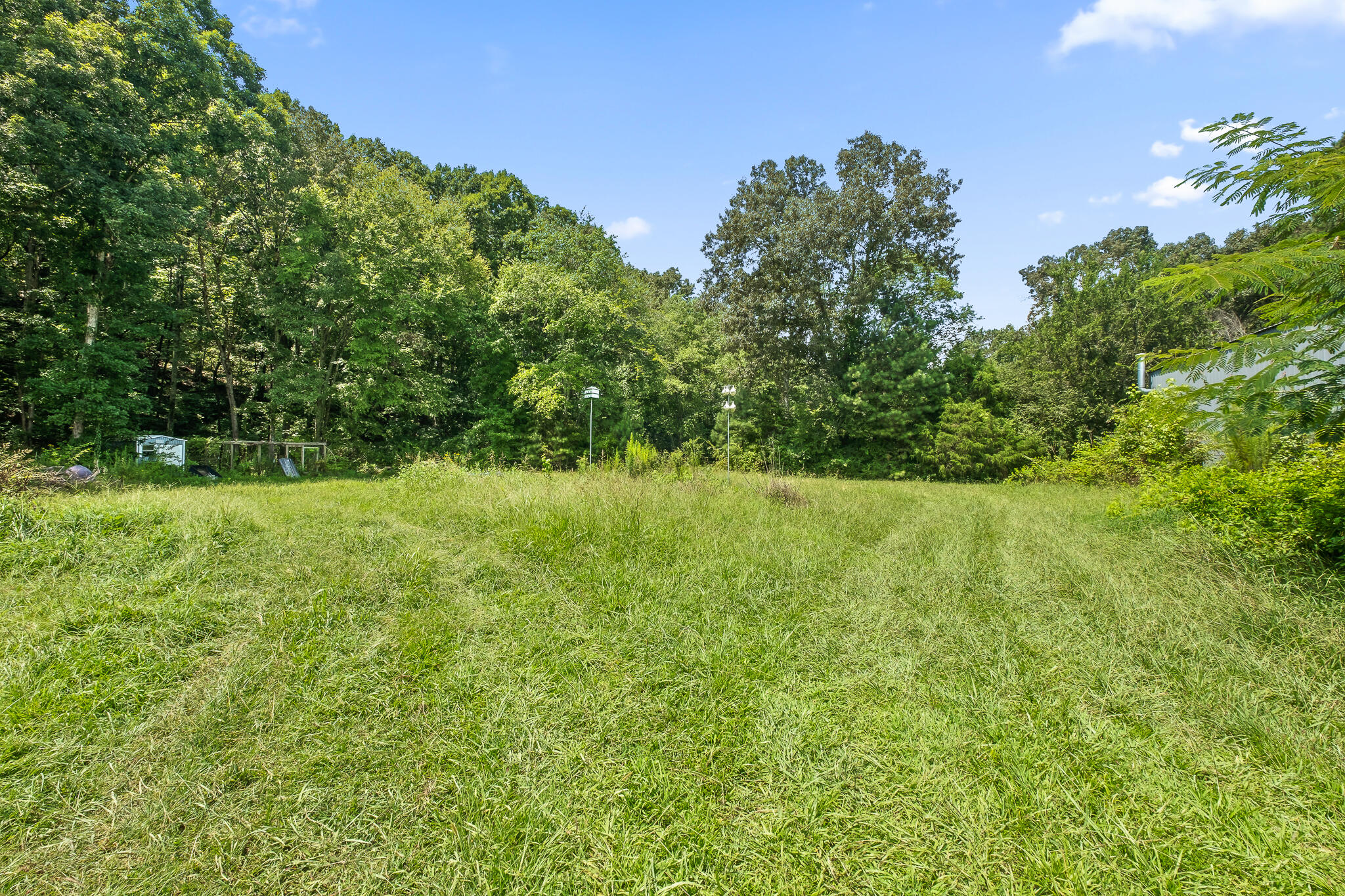 7234 Banther Road Harrison, TN 37341 - Photo 33 of 35 Summer view- beautiful land