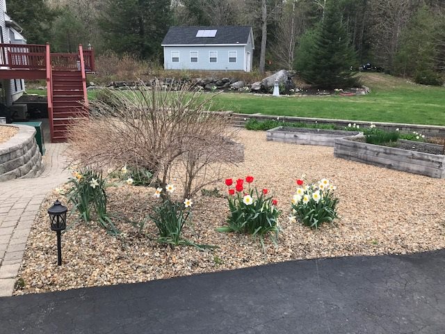 122 Winkley Farm Lane Rochester, NH 03867 - Photo 31 of 38