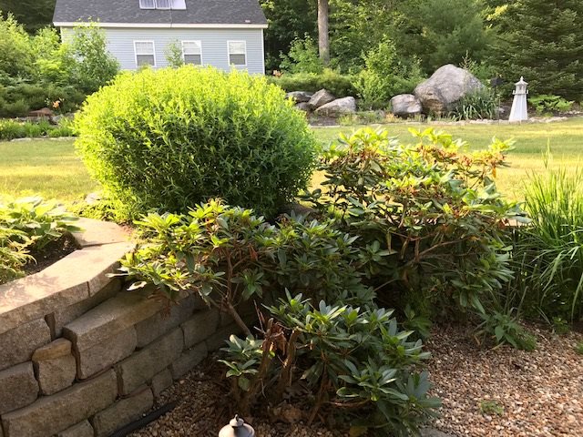 122 Winkley Farm Lane Rochester, NH 03867 - Photo 36 of 38