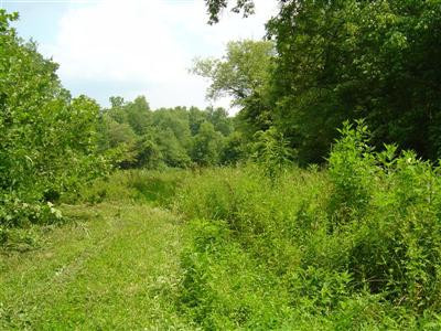 0 Saylor Road Crab Orchard, KY 40419 - Photo 1 of 10 Photo 1