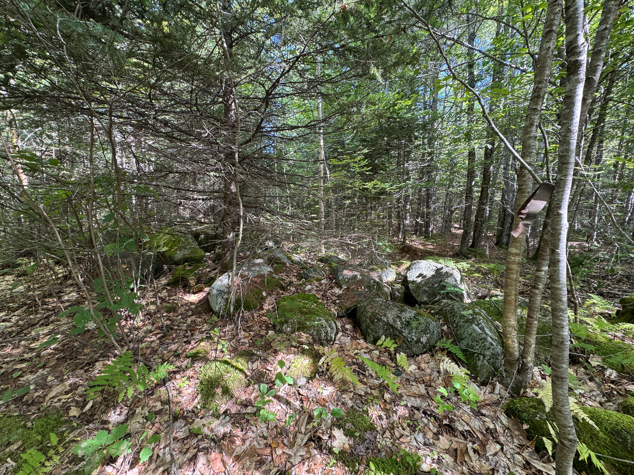 430 Townhouse Road Sangerville, ME 04479 - Photo 23 of 39 IMG_8720