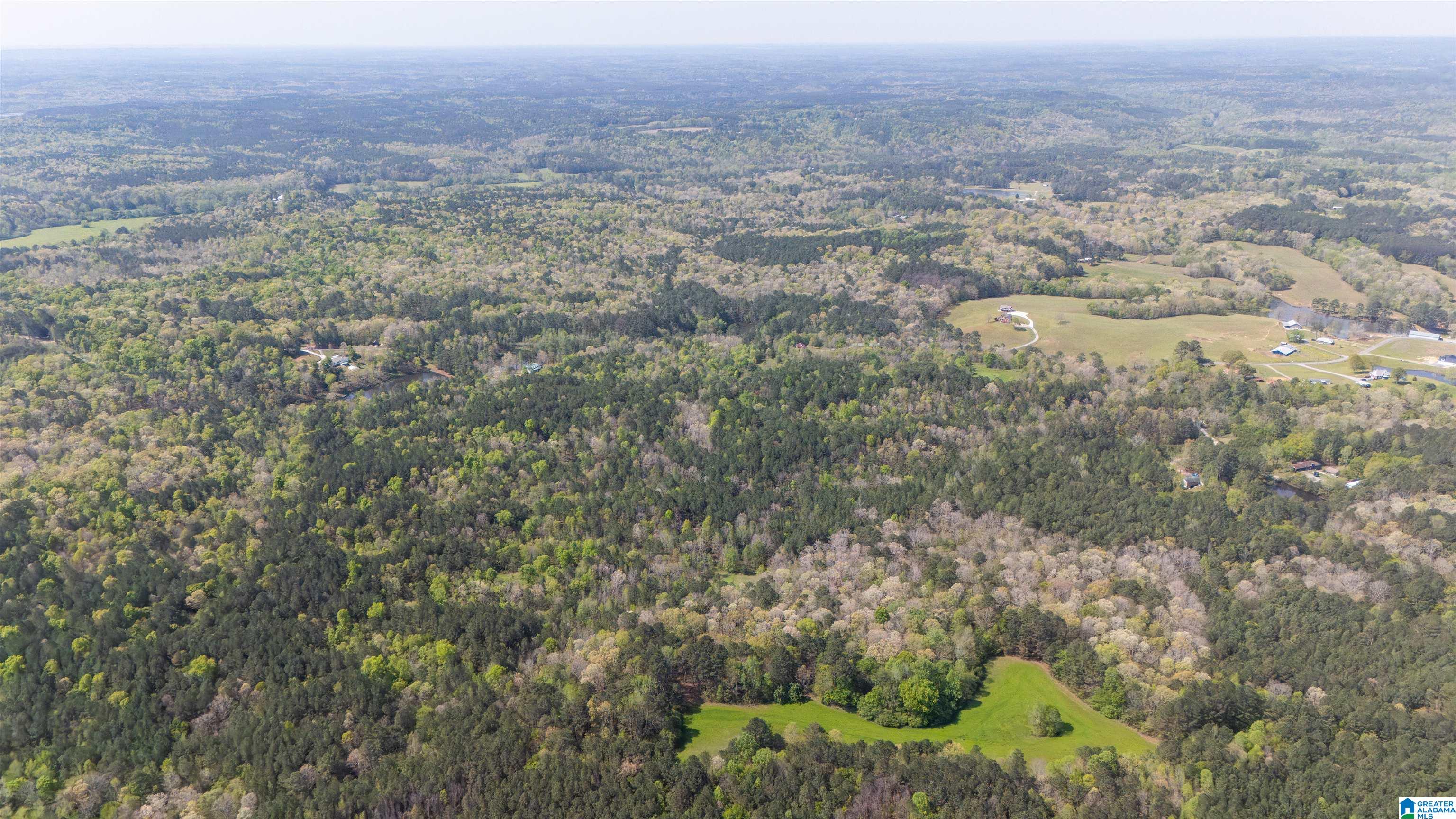 2121 Center Hill Road Trafford, AL 35172 - Photo 44 of 100
