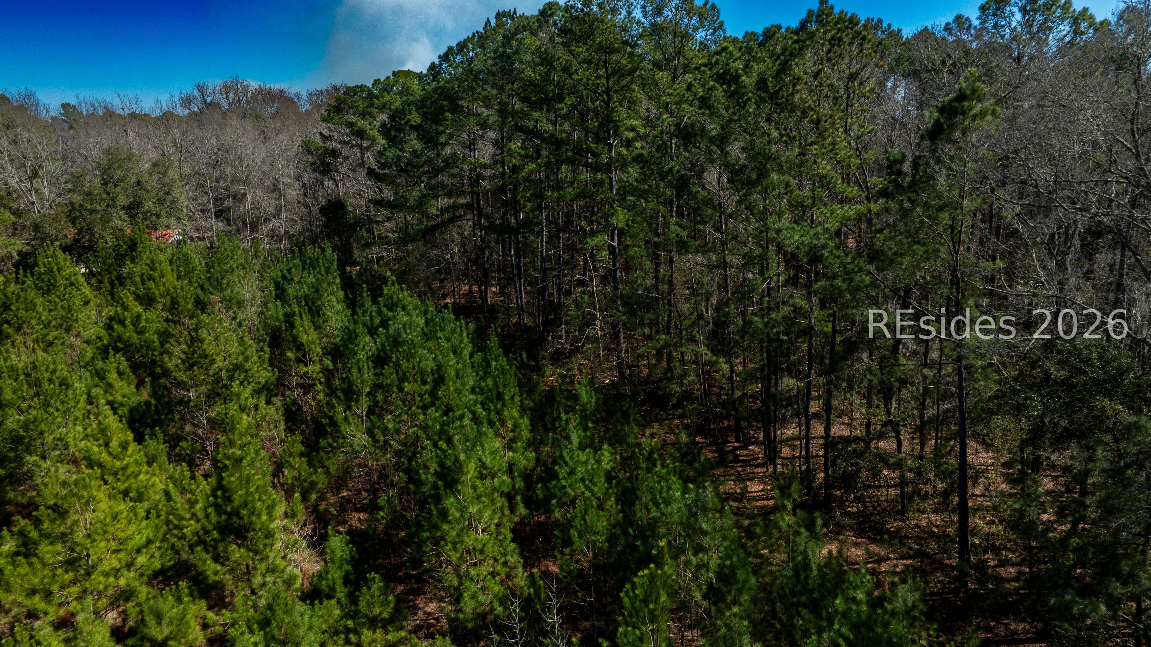 Tbd Firetower Road Ridgeland, SC 29936 - Photo 34 of 37