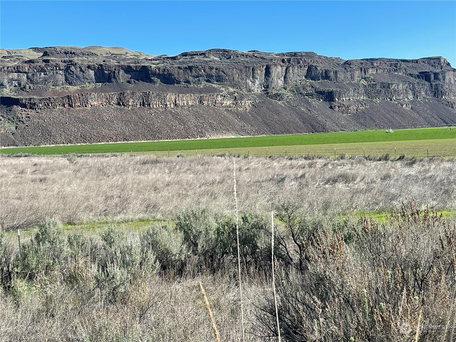 -nna Palisades Road Palisades, WA 98845 - Photo 3 of 5 a view of a yard with a mountain