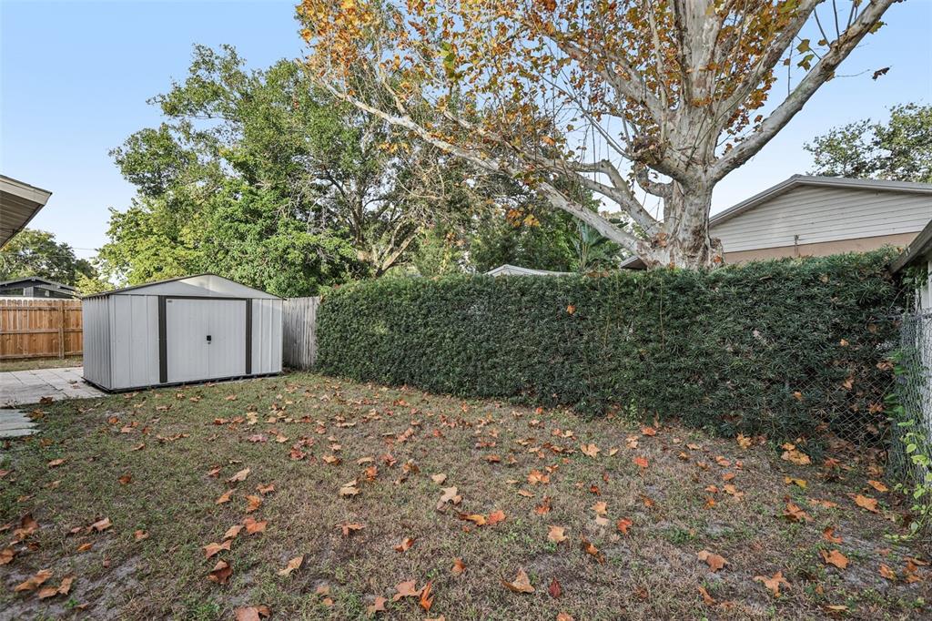 5575 58th Street North Kenneth City, FL 33709 - Photo 23 of 31 a backyard of a house with a tree