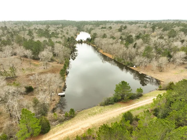 a view of a house with backyard and a tree