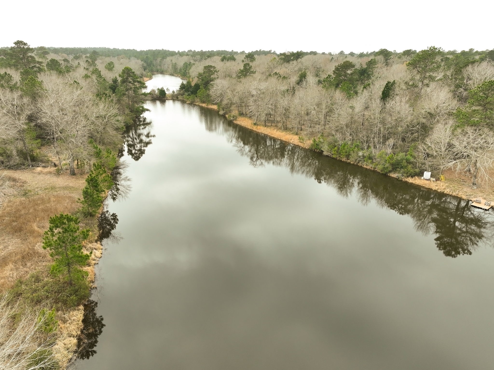 26439 Lake Shore Drive Hempstead, TX 77445 - Photo 35 of 45 a view of a lake in middle of forest