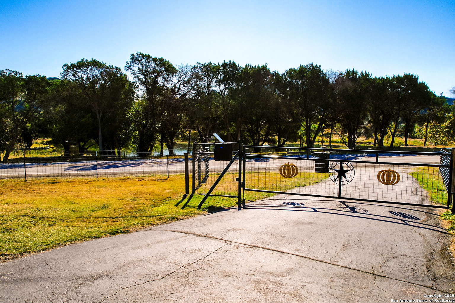 1406 Harper Road Kerrville, TX 78028 - Photo 4 of 33 a view of swimming pool with chairs
