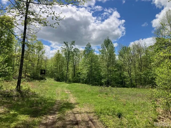 $94,995 | 225 Madison Cr, Fredericktown, MO 63645