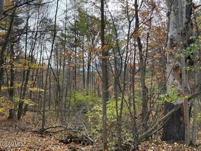 $79,900 | 954 A State Highway 9N, Au Sable, NY 12944