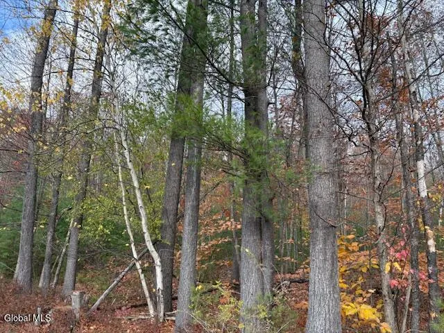 $79,900 | 954 A State Highway 9N, Au Sable, NY 12944