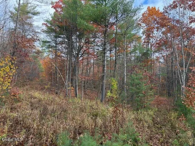 $79,900 | 954 A State Highway 9N, Au Sable, NY 12944