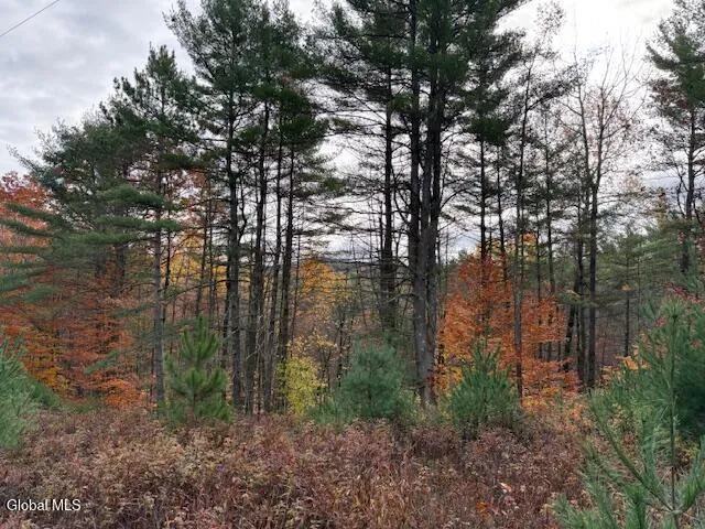 $79,900 | 954 A State Highway 9N, Au Sable, NY 12944