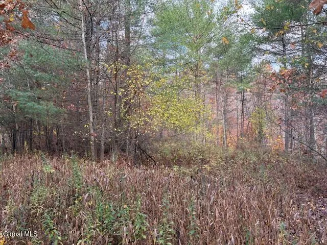 $79,900 | 954 A State Highway 9N, Au Sable, NY 12944