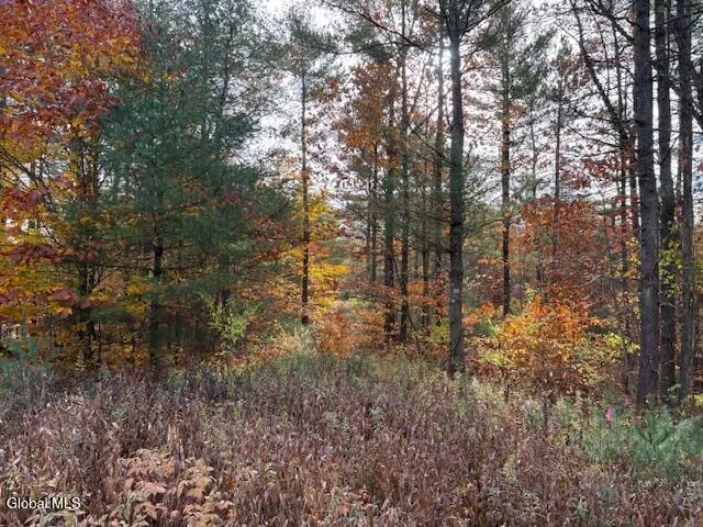 $79,900 | 954 A State Highway 9N, Au Sable, NY 12944