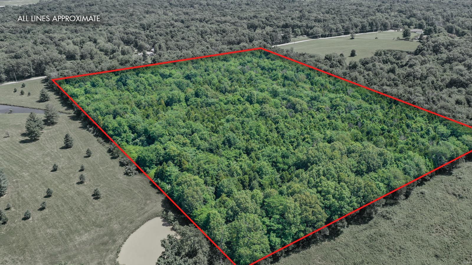 18261 Corinth Road Pittsburg, IL 62974 - Photo 8 of 11