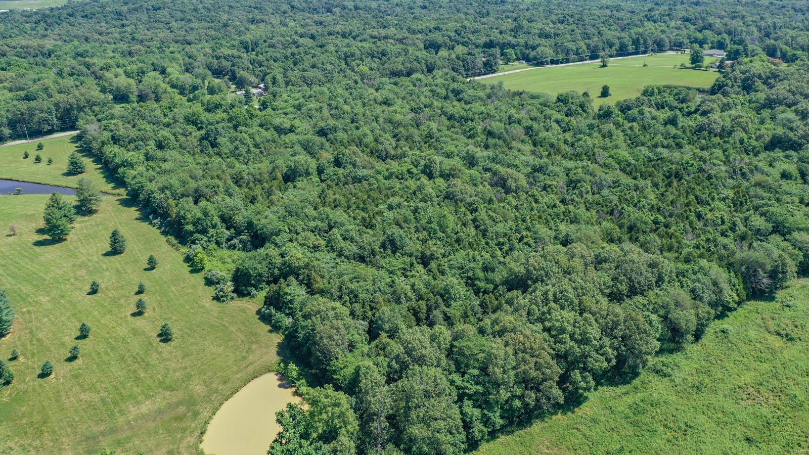 18261 Corinth Road Pittsburg, IL 62974 - Photo 9 of 11