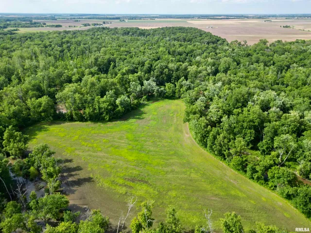 $84,000 | 0 Sassafras Road, Hoyleton, IL 62803