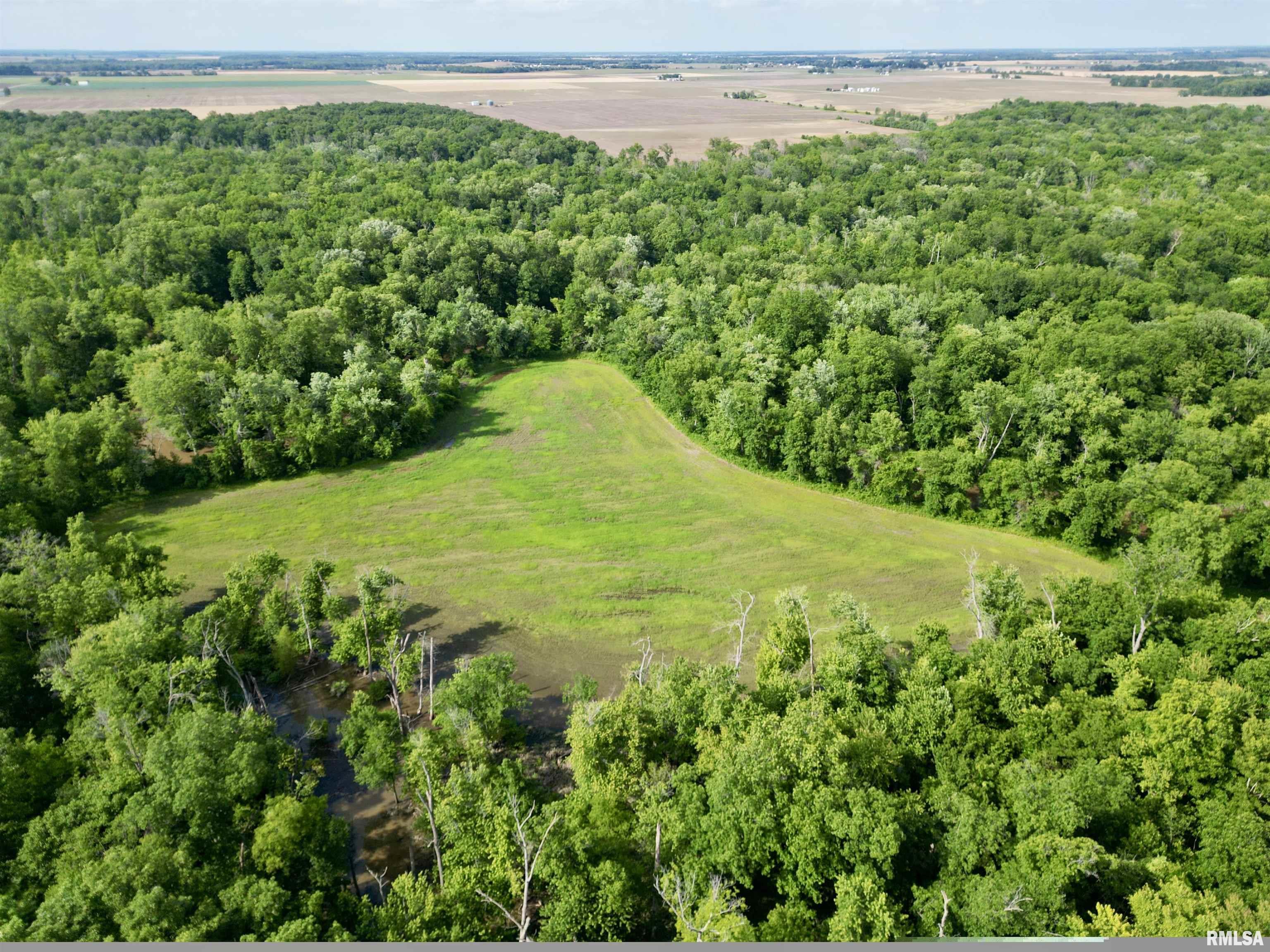 0 Sassafras Road Hoyleton, IL 62803 - Photo 2 of 4