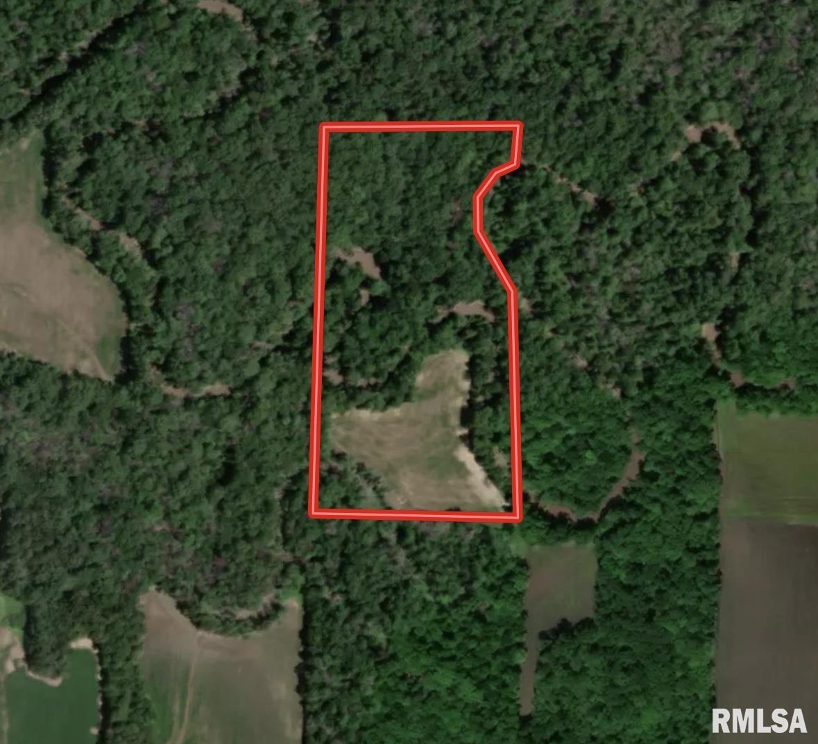 0 Sassafras Road Hoyleton, IL 62803 - Photo 4 of 4