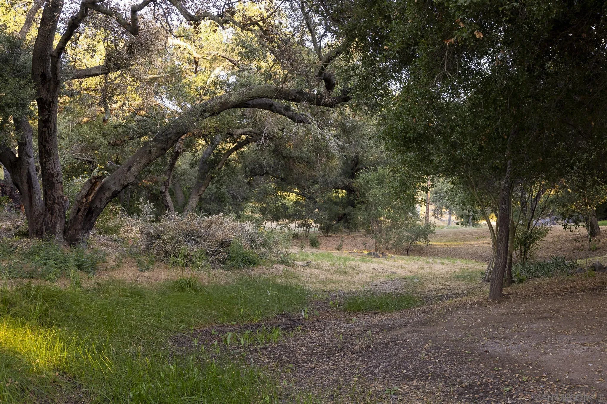 14352 Mussey Grade Road Ramona, CA 92065 - Photo 22 of 53 Gallery Image 22