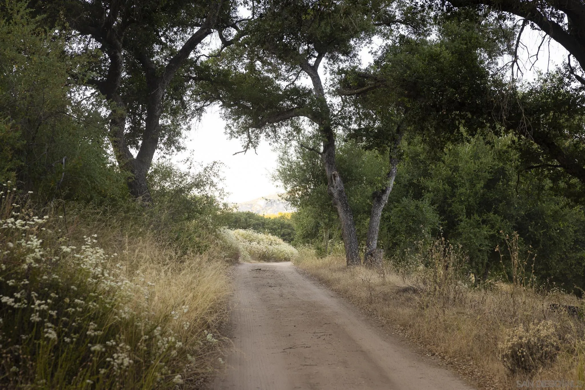 14352 Mussey Grade Road Ramona, CA 92065 - Photo 23 of 53 Gallery Image 23
