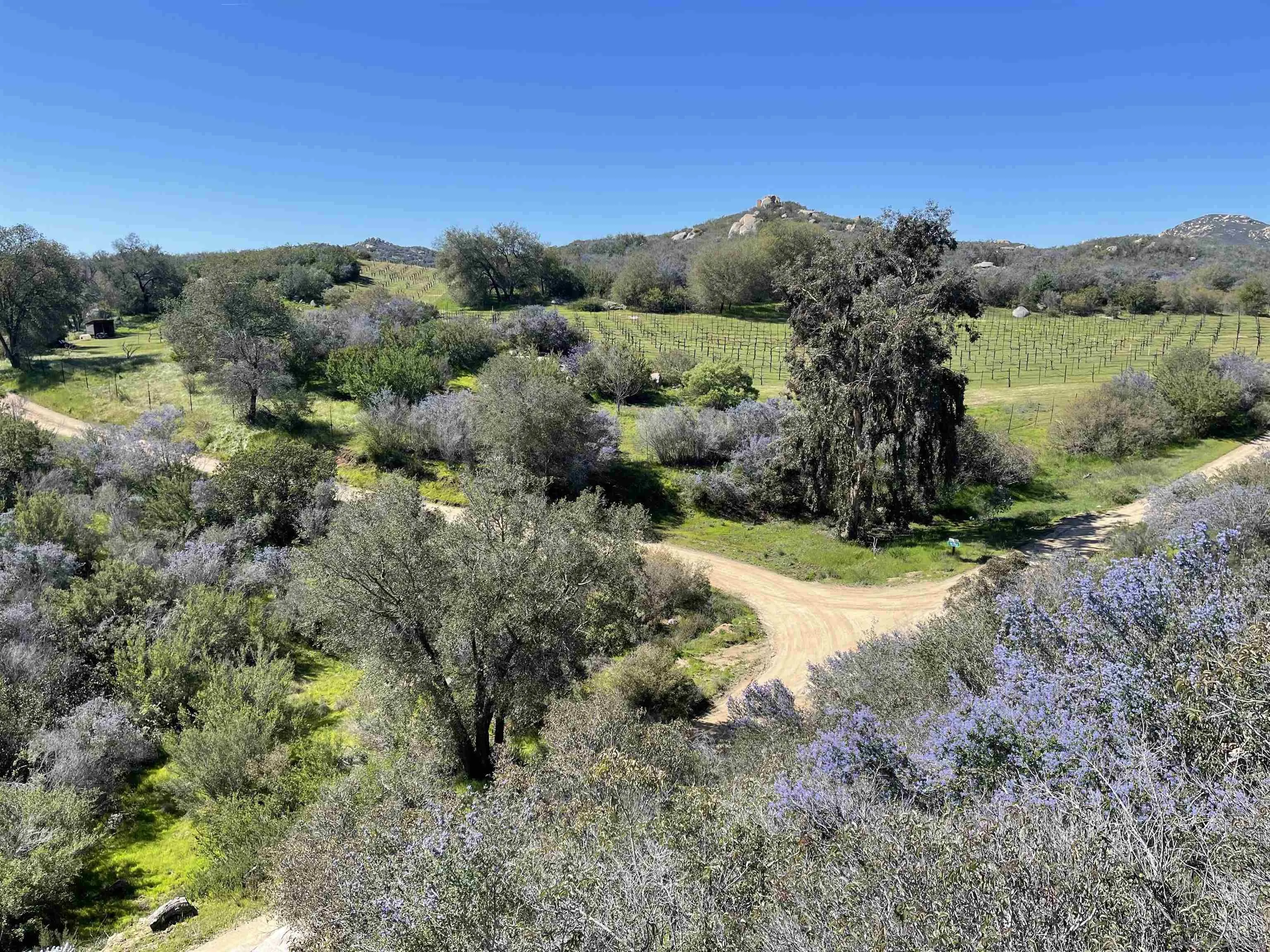 14352 Mussey Grade Road Ramona, CA 92065 - Photo 37 of 53 Gallery Image 37