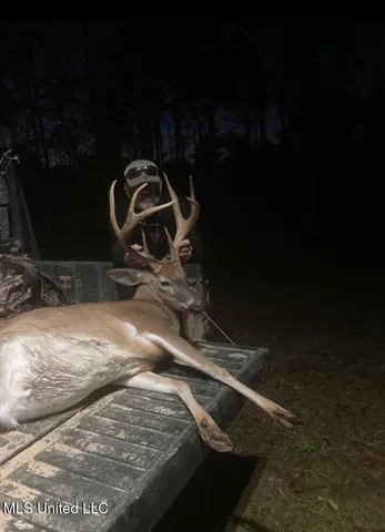 $3,725,000 | Ms-547, Port Gibson, MS 39150