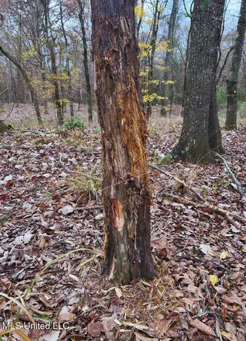 $3,725,000 | Ms-547, Port Gibson, MS 39150