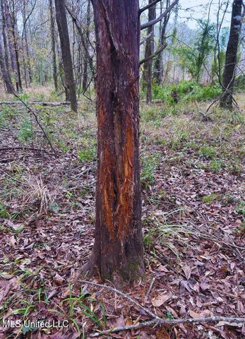 $3,725,000 | Ms-547, Port Gibson, MS 39150