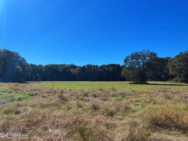 $3,725,000 | Ms-547, Port Gibson, MS 39150