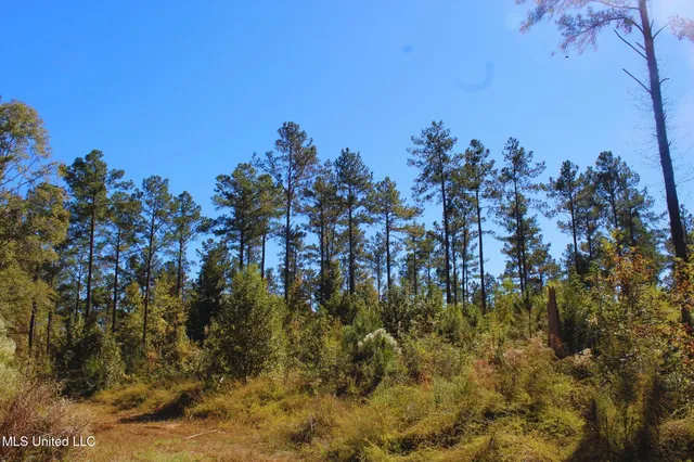 $3,725,000 | Ms-547, Port Gibson, MS 39150