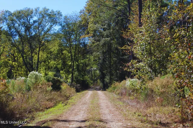 $3,725,000 | Ms-547, Port Gibson, MS 39150