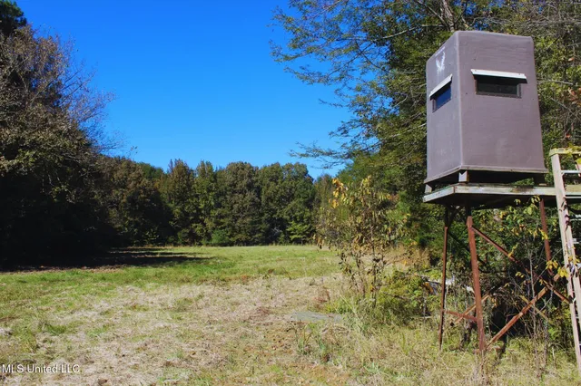 $3,725,000 | Ms-547, Port Gibson, MS 39150